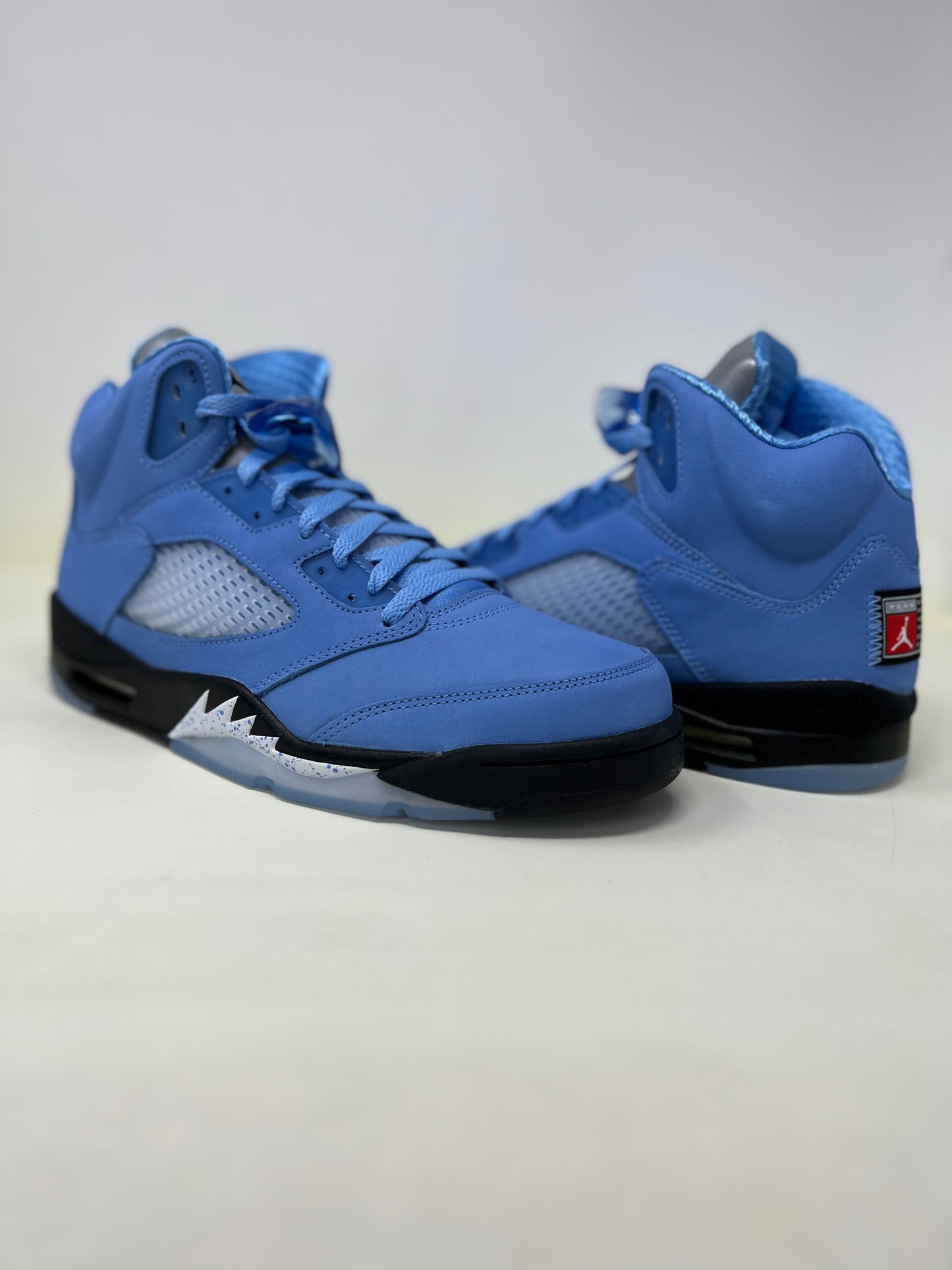 Nike Air Jordan 5 SE 'UNC'