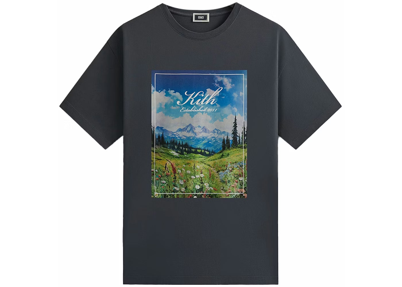 Kith Landscape Vintage Tee