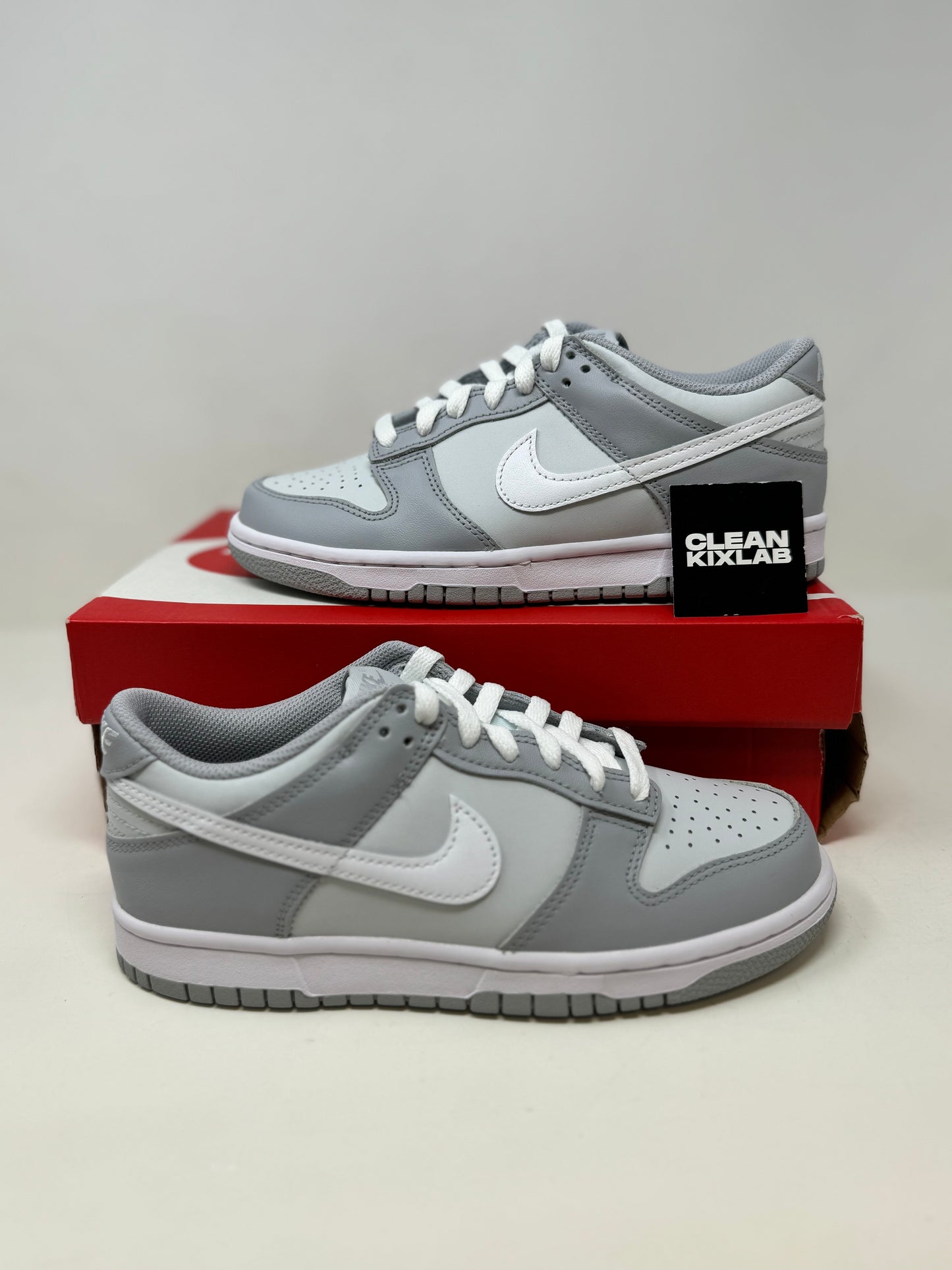 Nike Dunk Low Two-Toned Grey GS