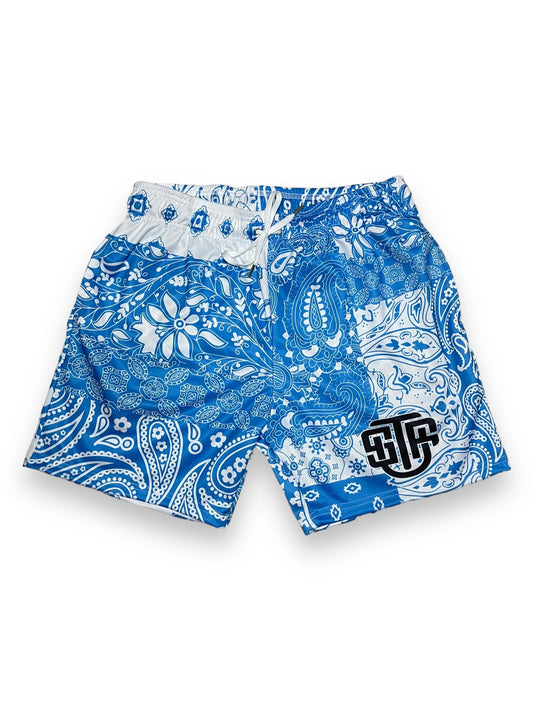 Shop This For Us 'Blue Paisley' Mesh Shorts