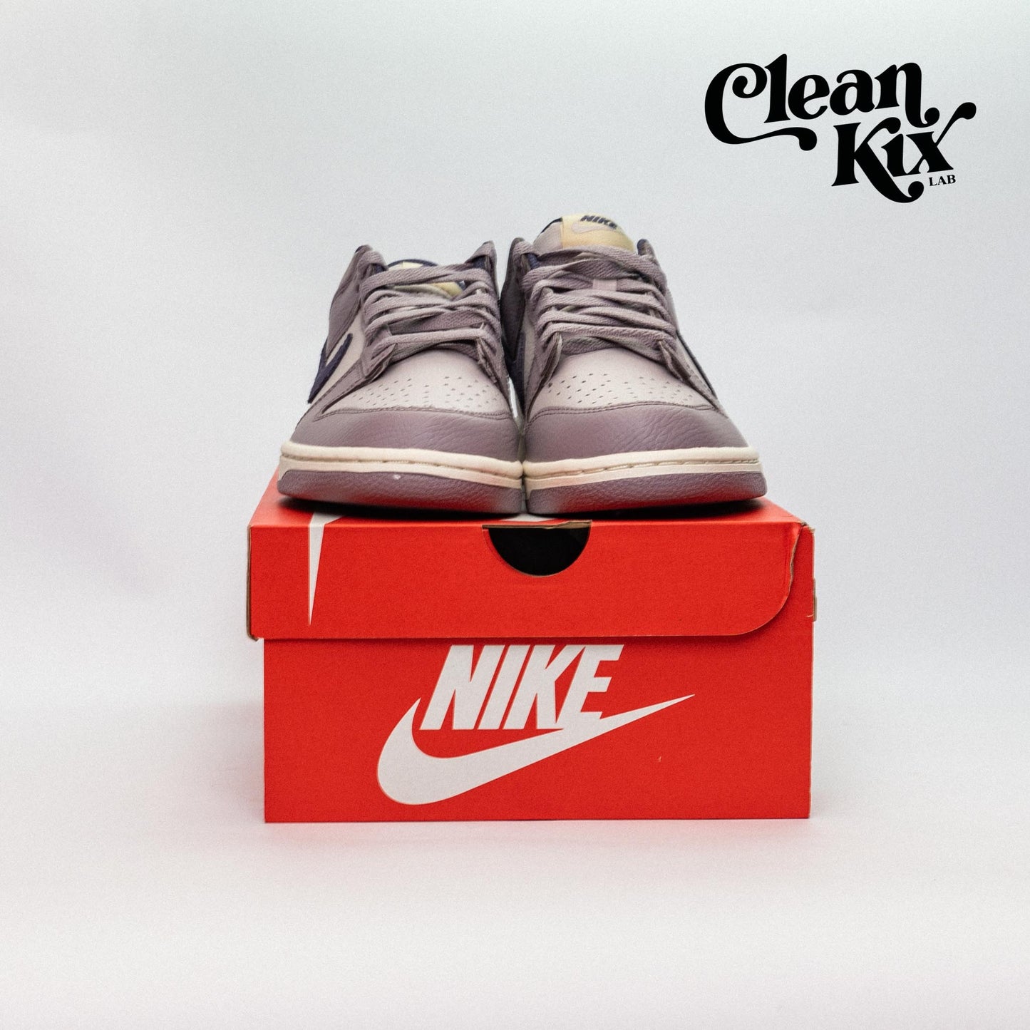 Nike Dunk Low Light Violet Ore (GS)