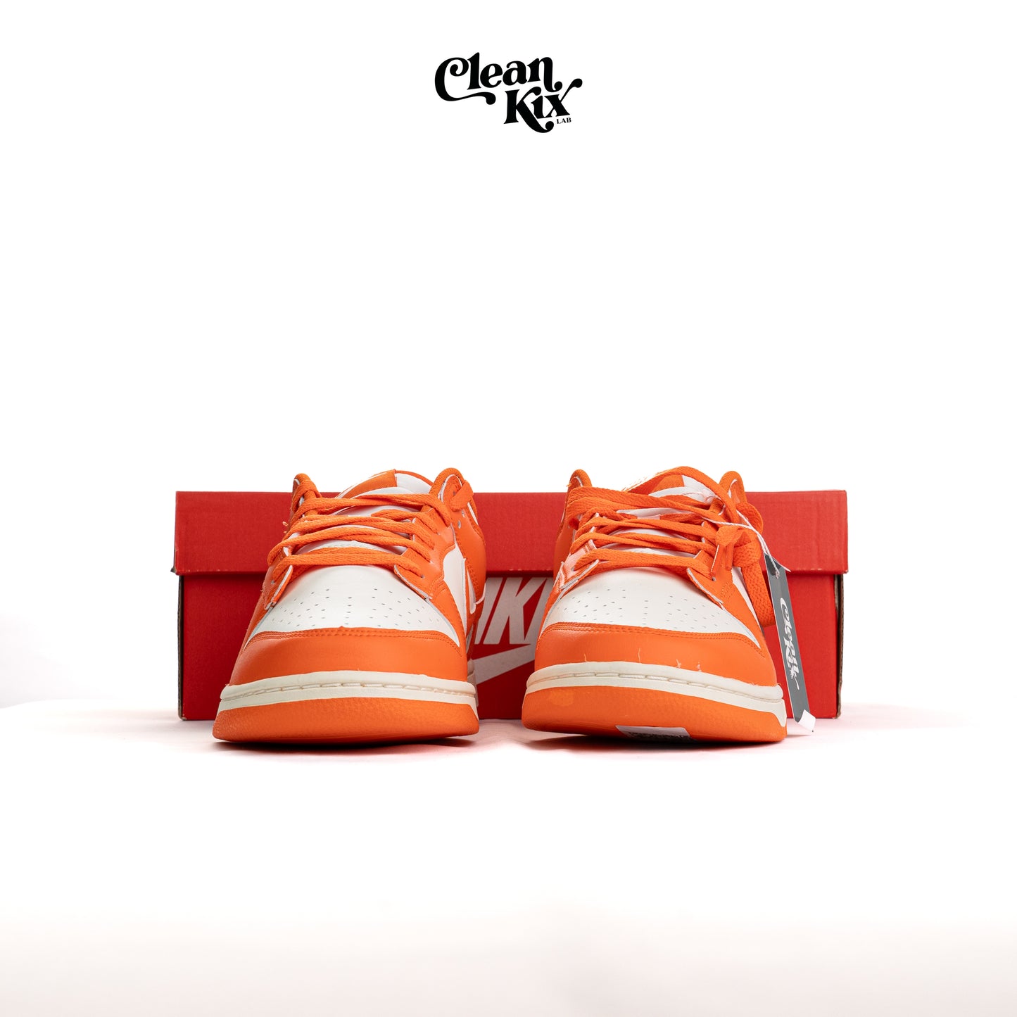 Nike Dunk "Syracuse Pale Ivory" Dunk