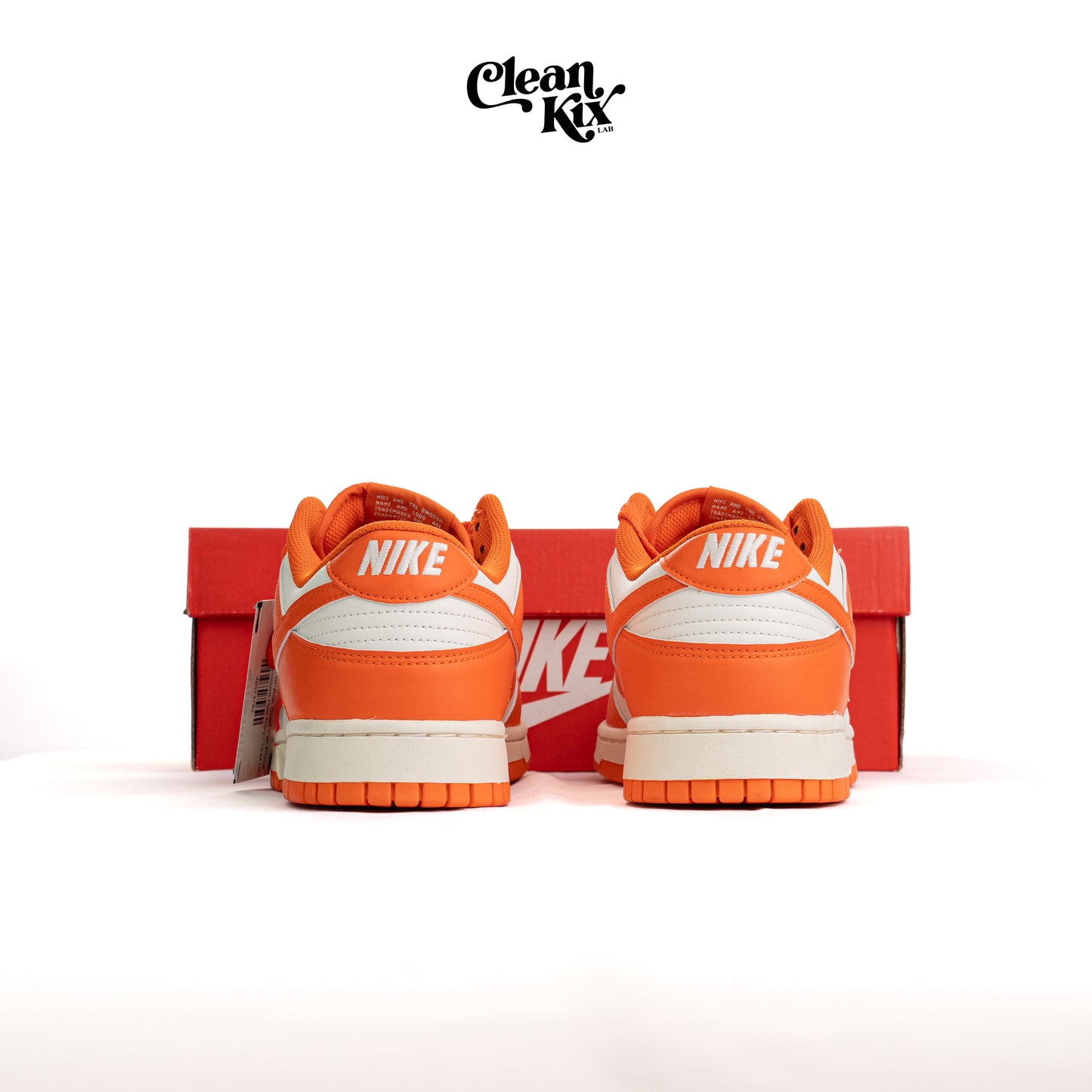 Nike Dunk "Syracuse Pale Ivory" Dunk