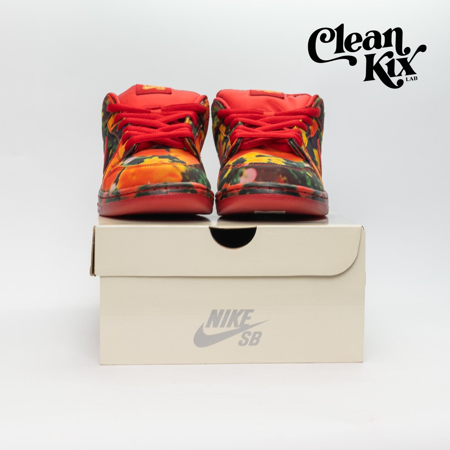 Nike SB Dunk Low The Wizard of Oz Poppy Field