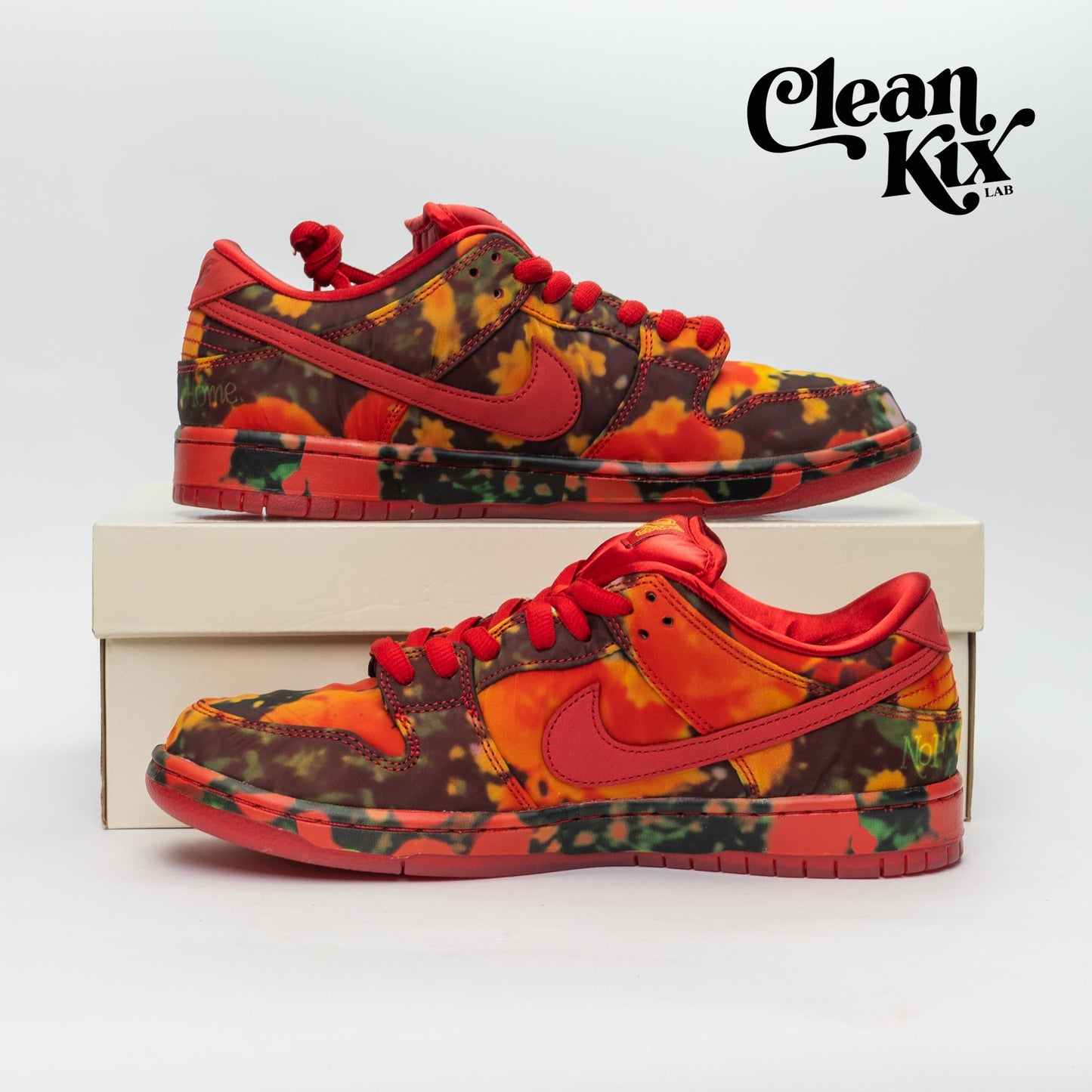 Nike SB Dunk Low The Wizard of Oz Poppy Field